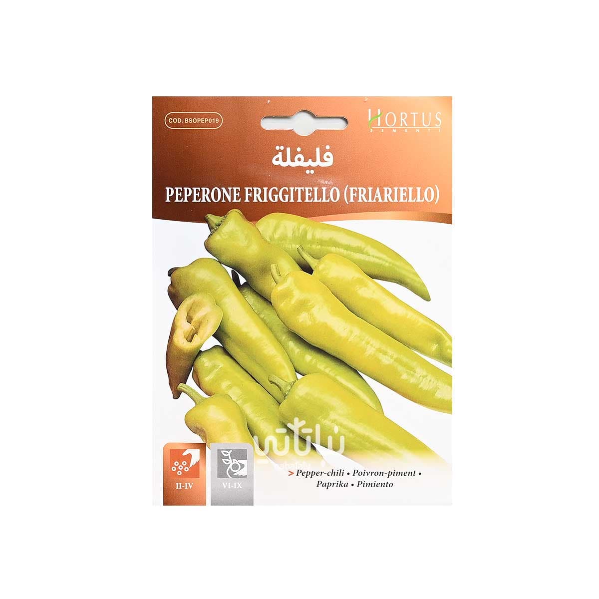 Pepper Seeds
