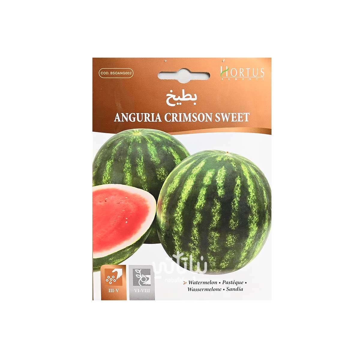 Watermelon Seeds