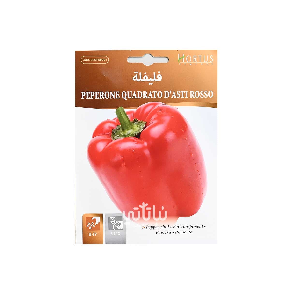 بذور فلفل بارد احمر 1