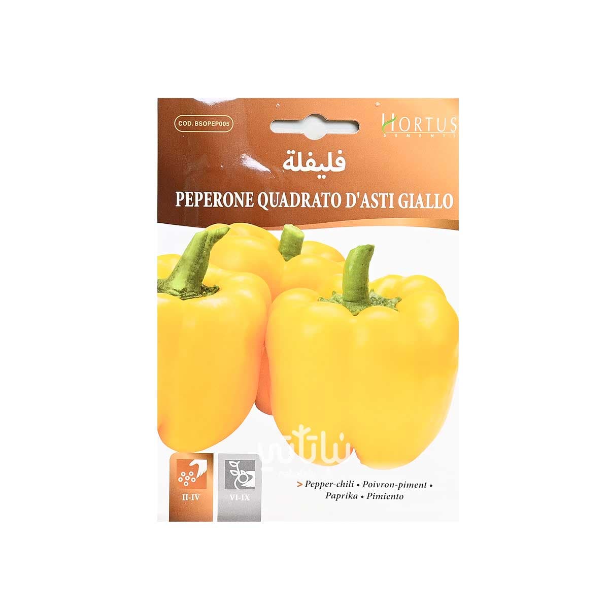 Yellow Sweet Pepper Seeds 1