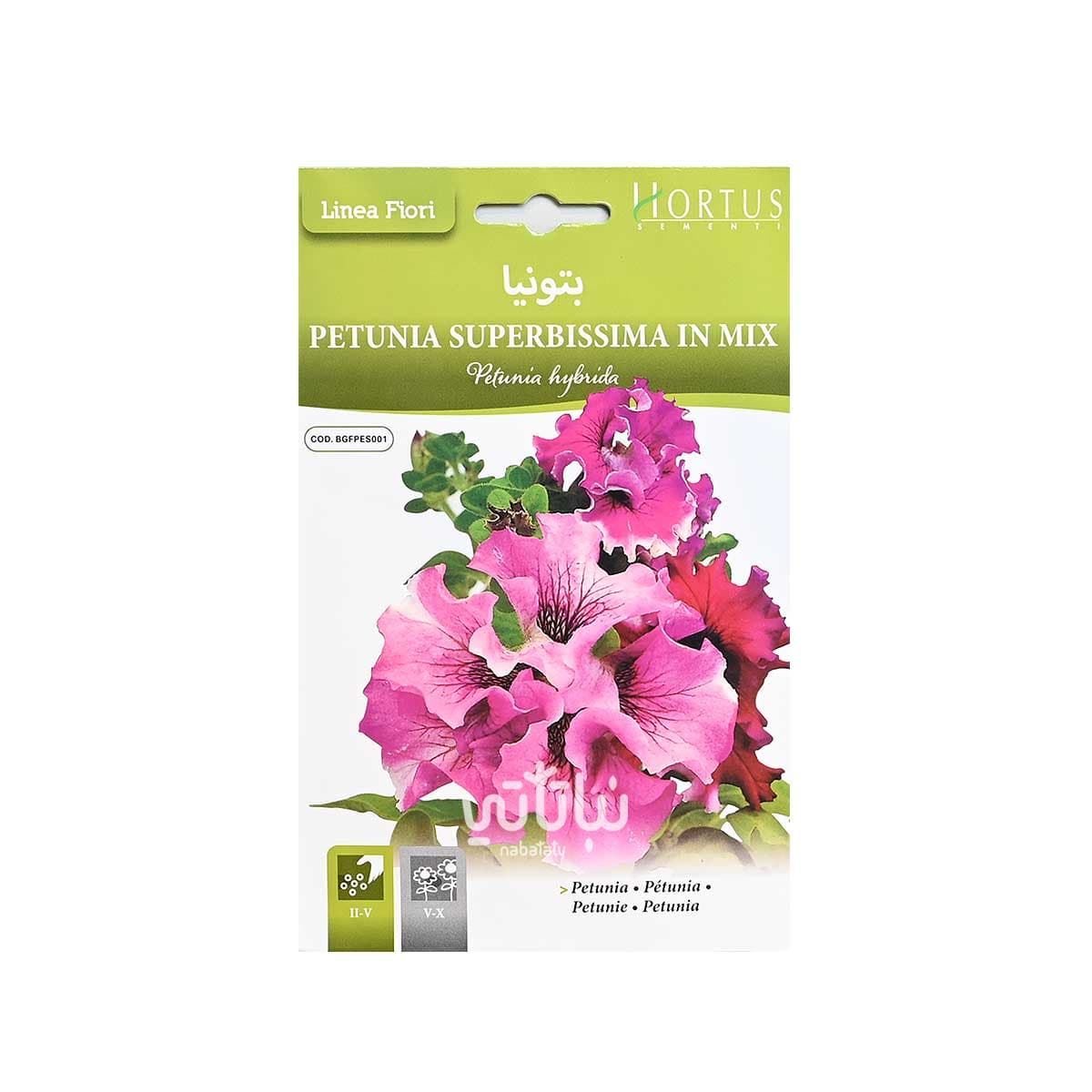 Petunia Seeds