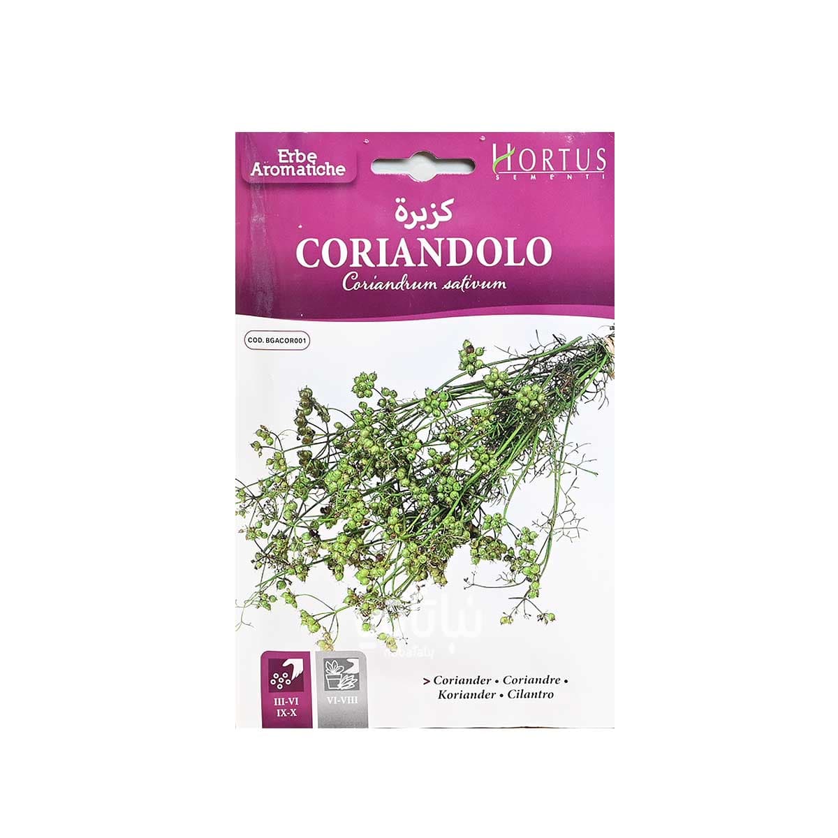 Coriandolo Seeds