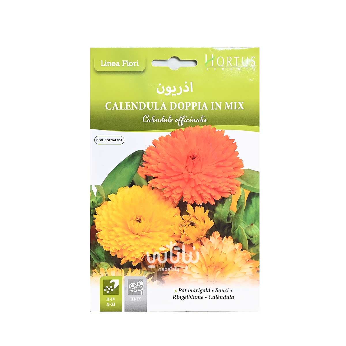بذور زهرة اذريون