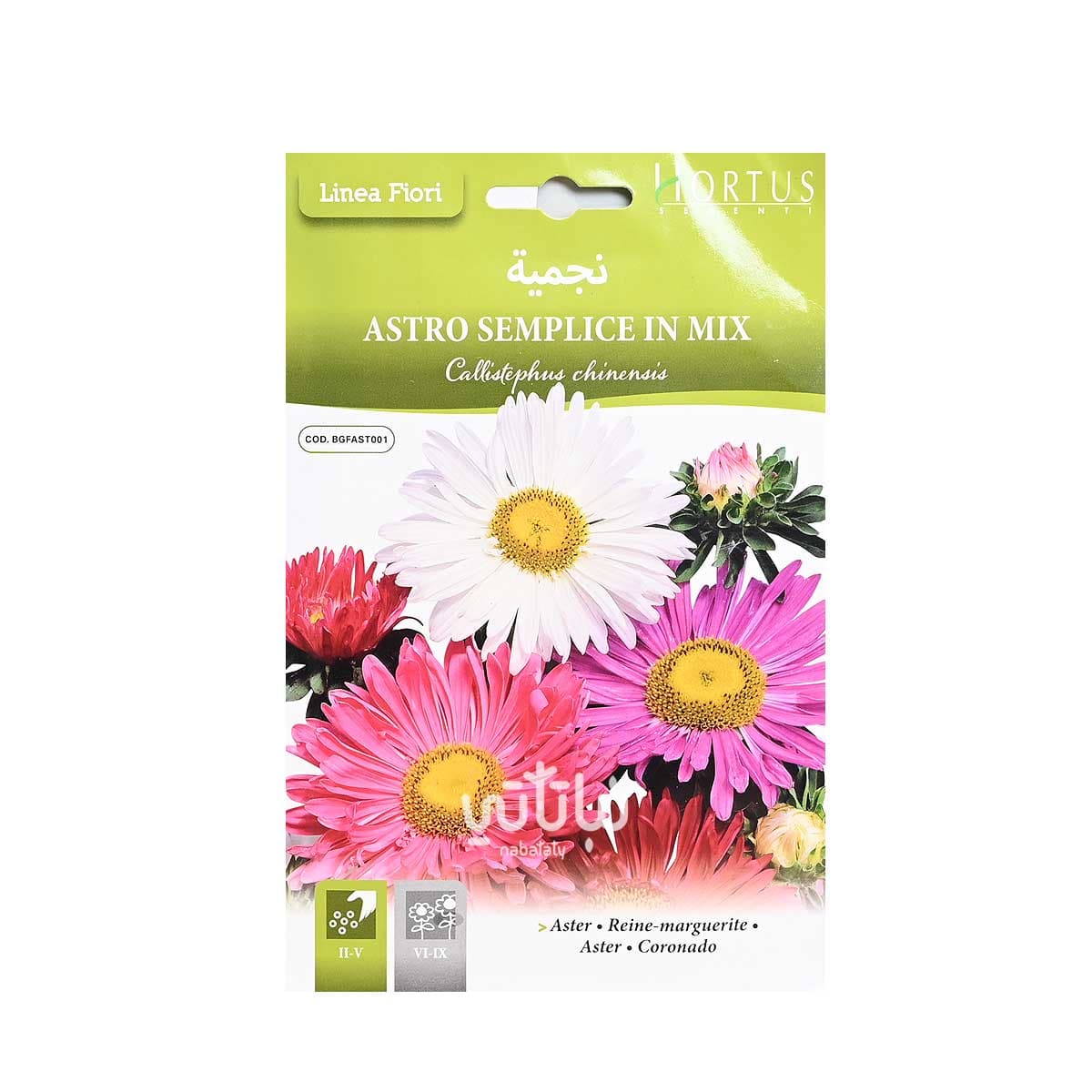 بذور زهرة نجمية