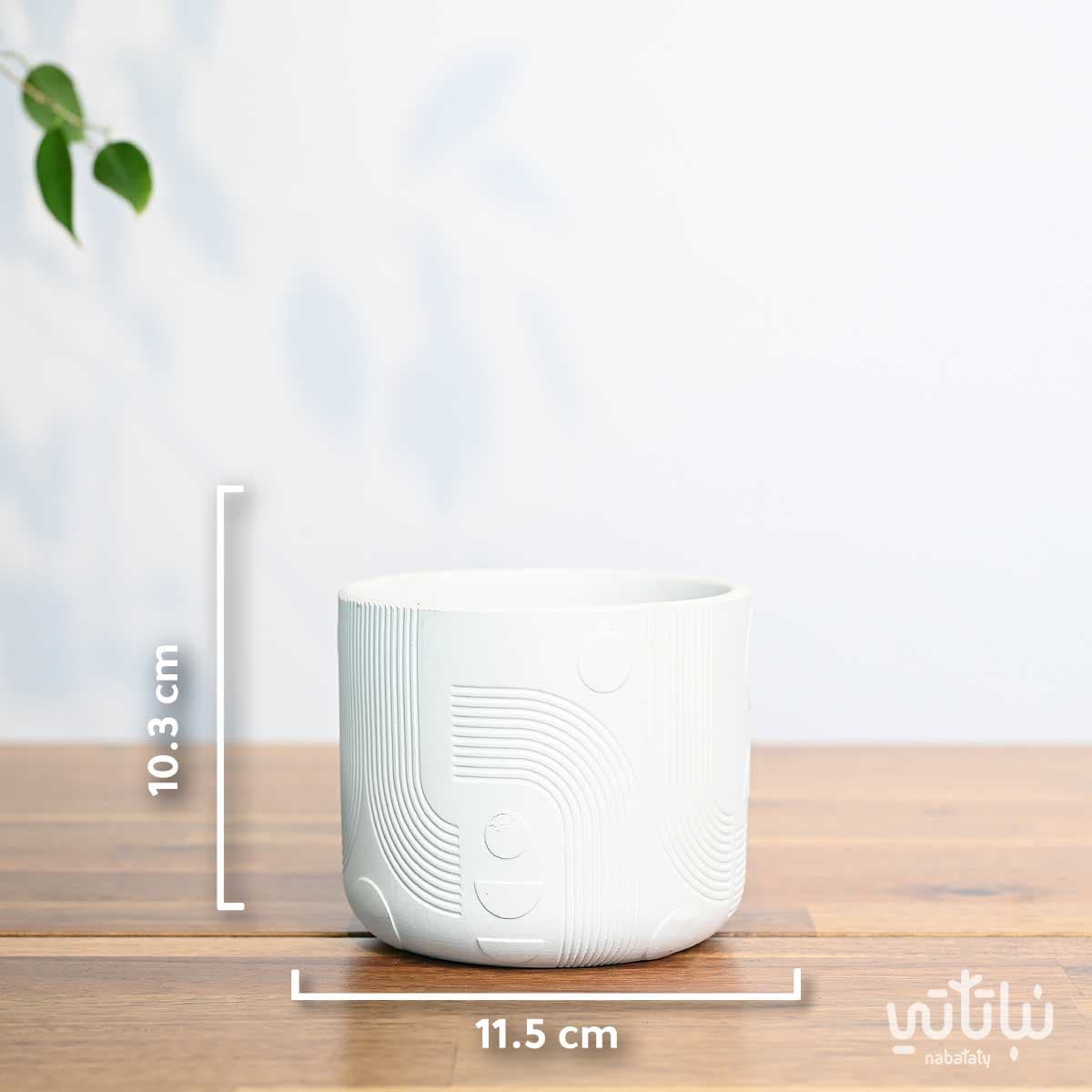 أصيص سيراميك ابيض 11.5سم 3