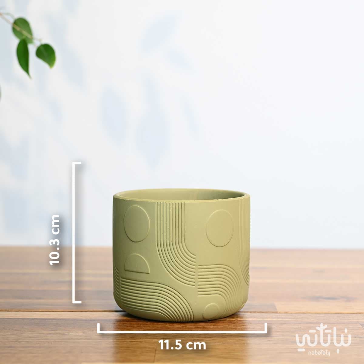 اصيص سيراميك اخضر زيتي 11.5سم 3