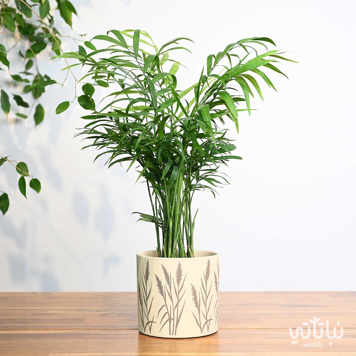 اصيص سيراميك بيج نقش شجري 13.5 سم 2