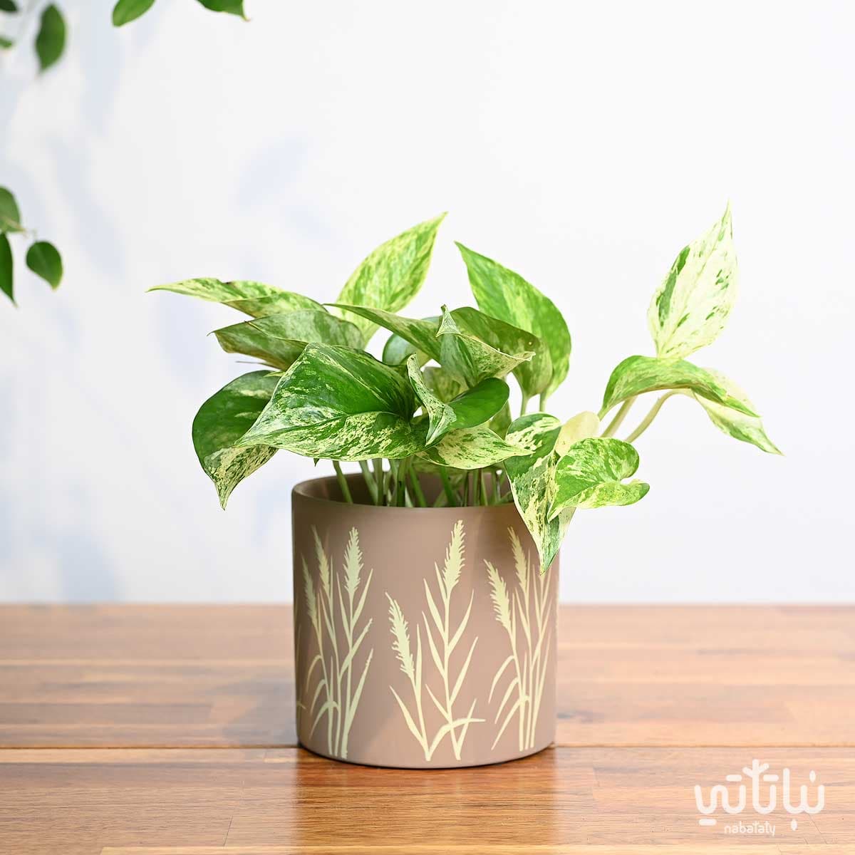 اصيص سيراميك بني نقش شجري 13.5 سم 2