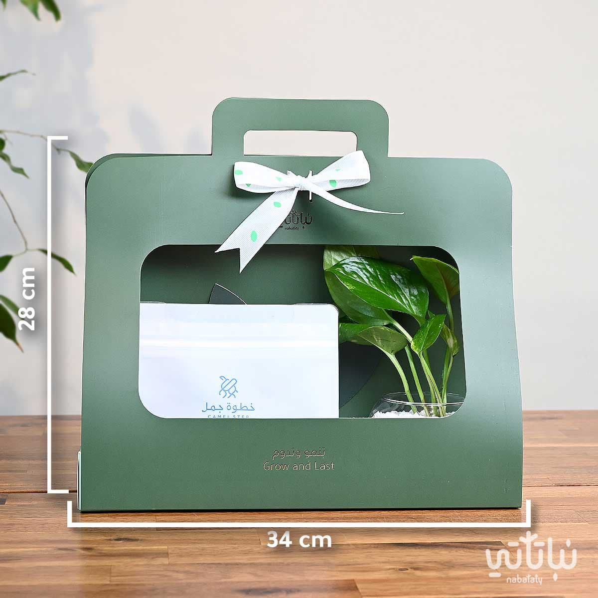 هدية نبتة البوتس اخضر مع قهوة كولومبيا لاس بالماس 4