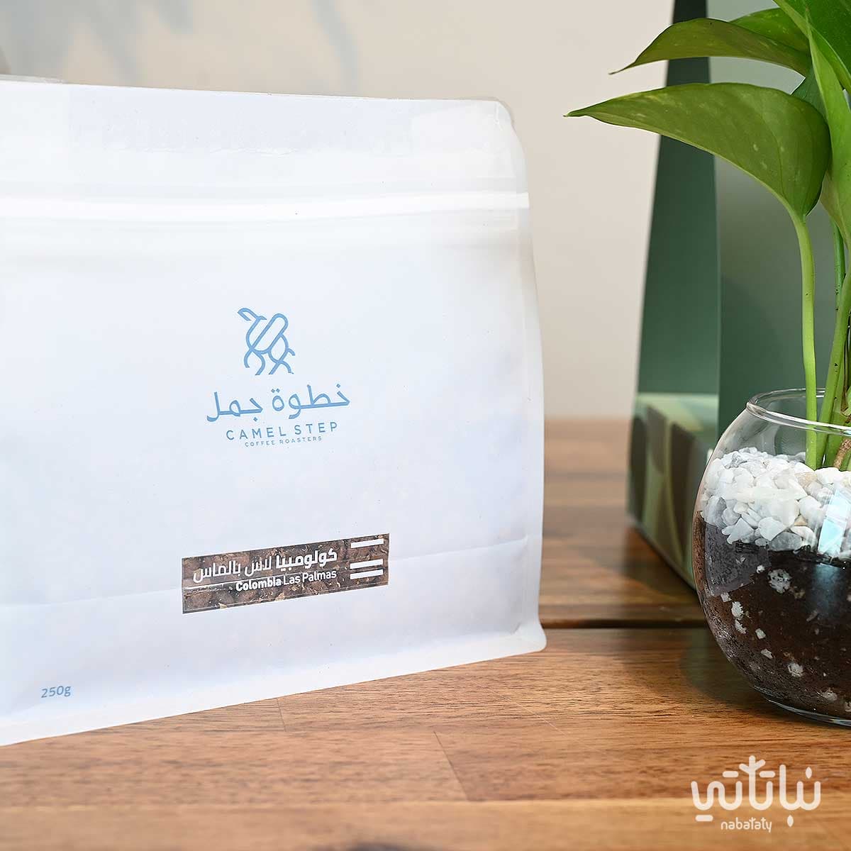 هدية نبتة البوتس اخضر مع قهوة كولومبيا لاس بالماس 3