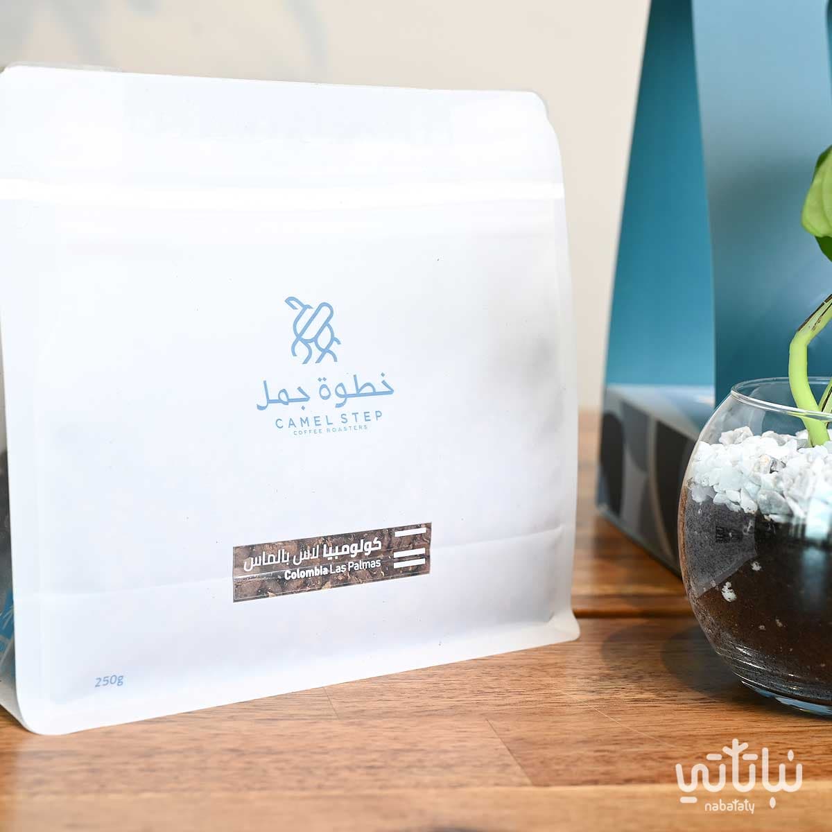 هدية نبتة البوتس ازرق مع قهوة كولومبيا لاس بالماس 3