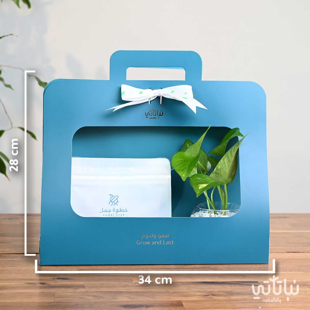 هدية نبتة البوتس ازرق مع قهوة كولومبيا لاس بالماس 2