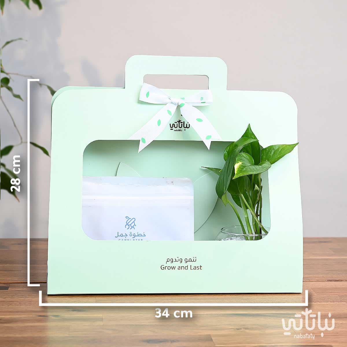 هدية نبتة البوتس اخضر فاتح مع قهوة كولومبيا لاس بالماس 4