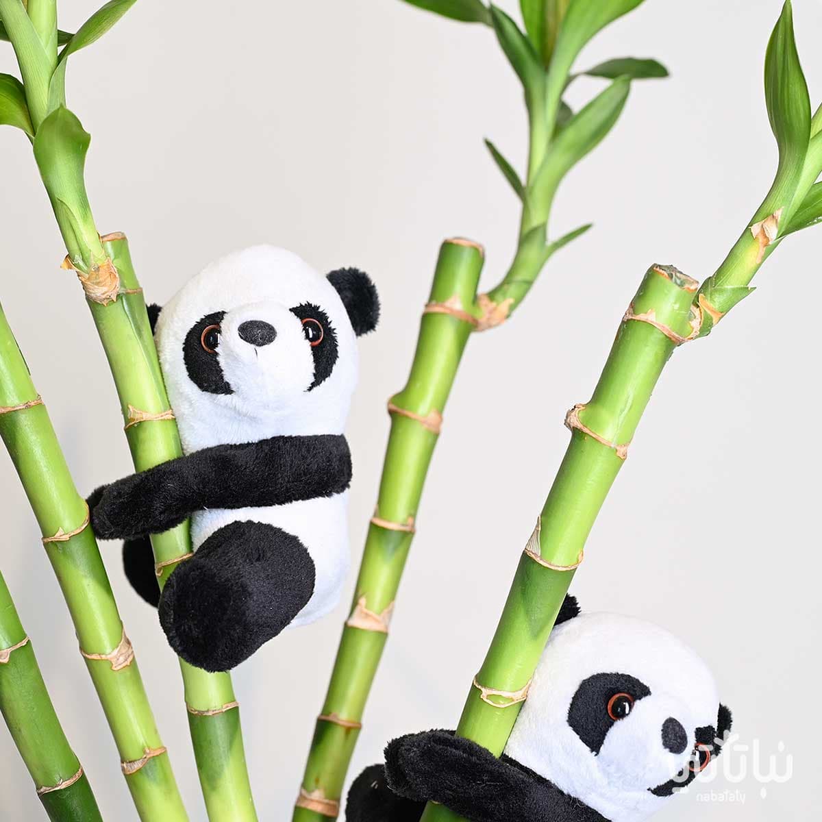 دمية باندا صغيرة معلقة 2