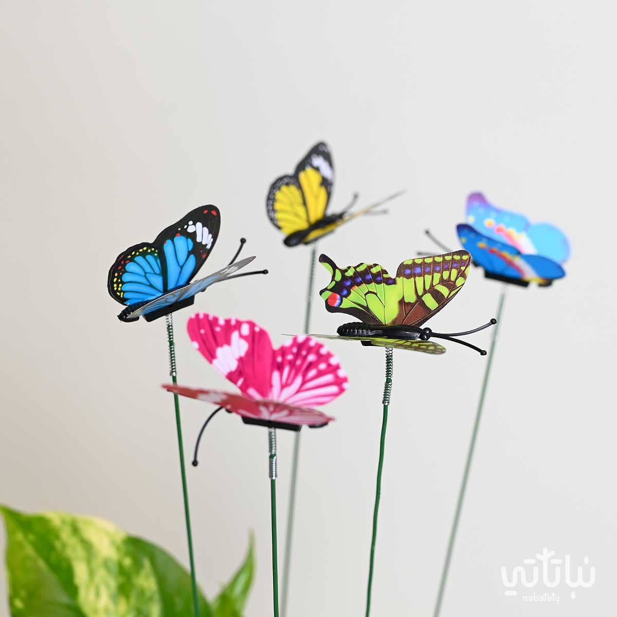 اعواد الفراشات الملونة 1