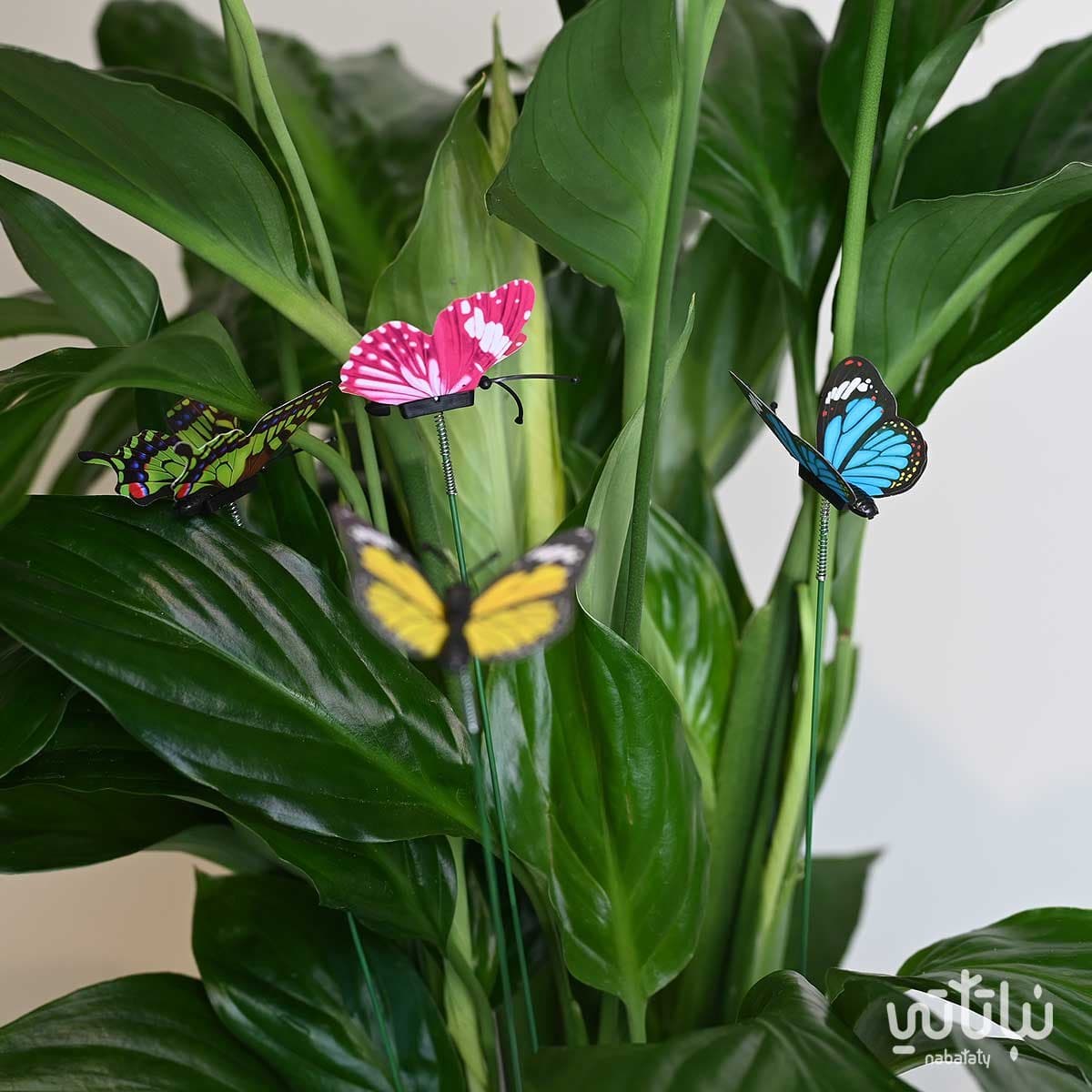 اعواد الفراشات الملونة 3