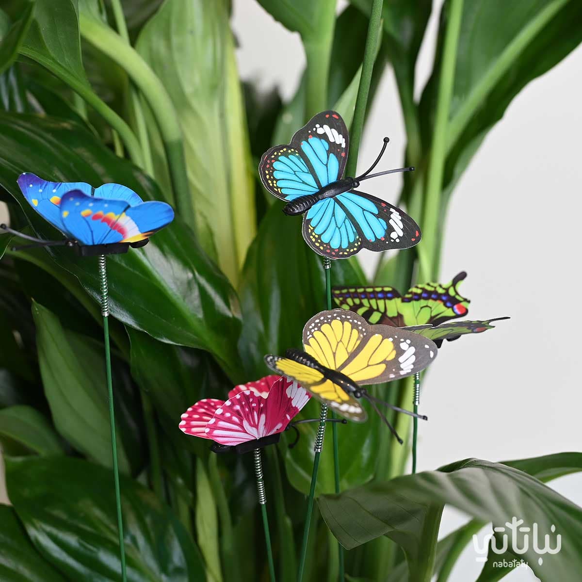 اعواد الفراشات الملونة 2