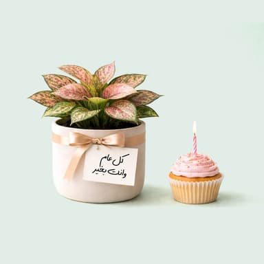 يوم الميلاد