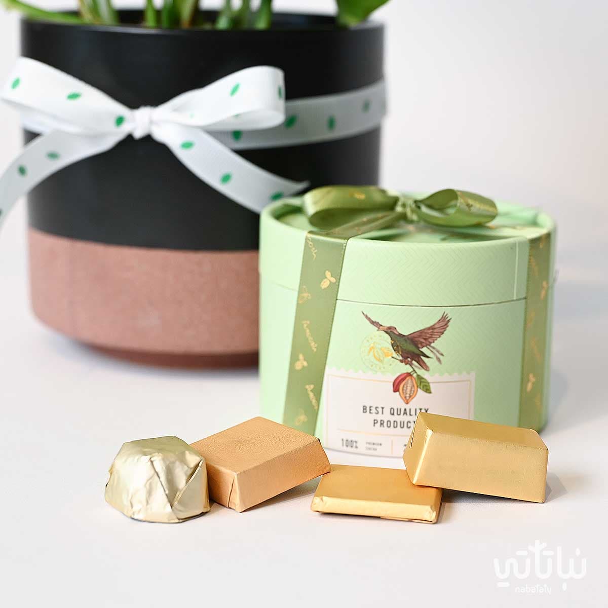 هدية مبروك التخرج نبتة البوتس و تشوكلت أنوش 4