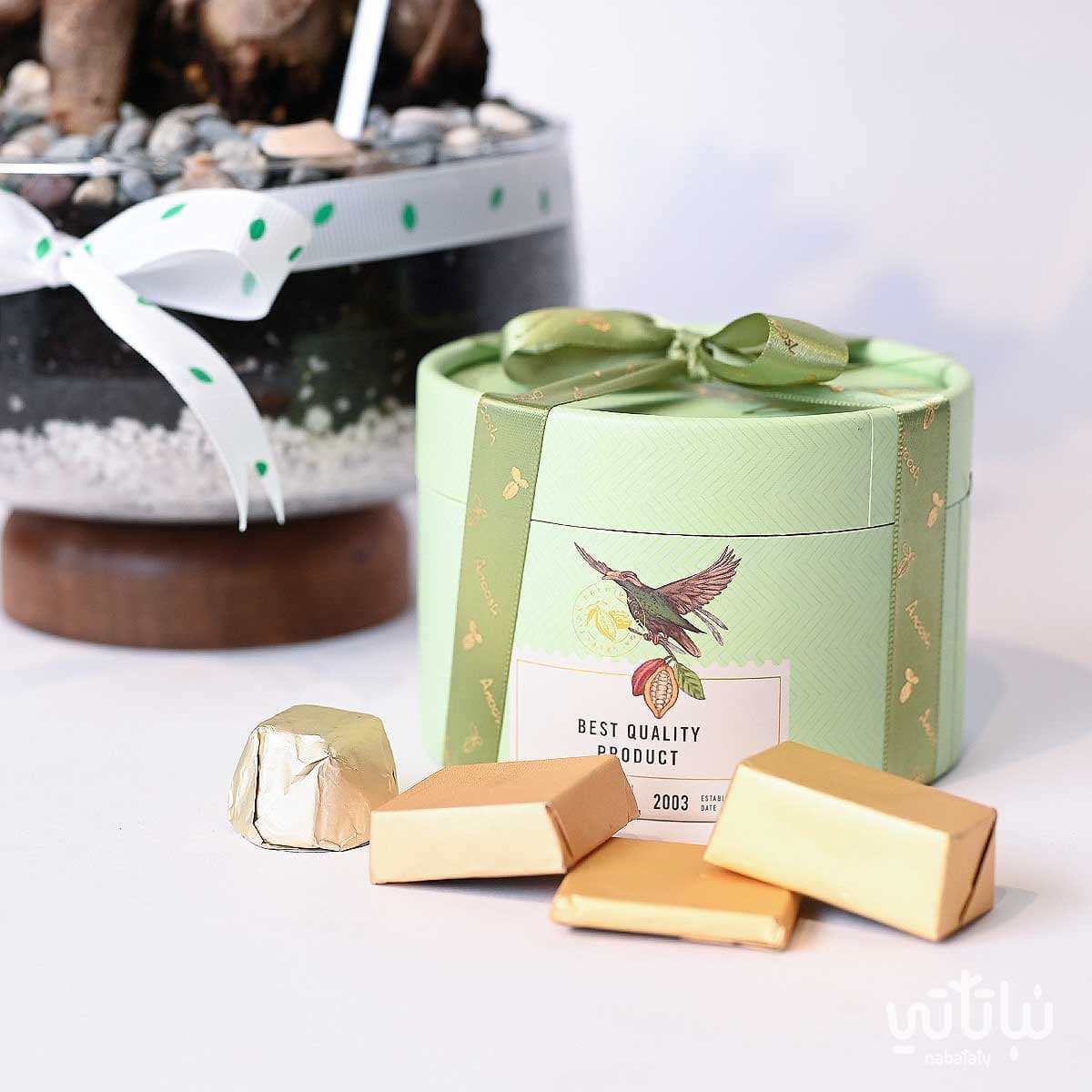 هدية مبروك التخرج نبتة البونساي وتشوكلت أنوش 4