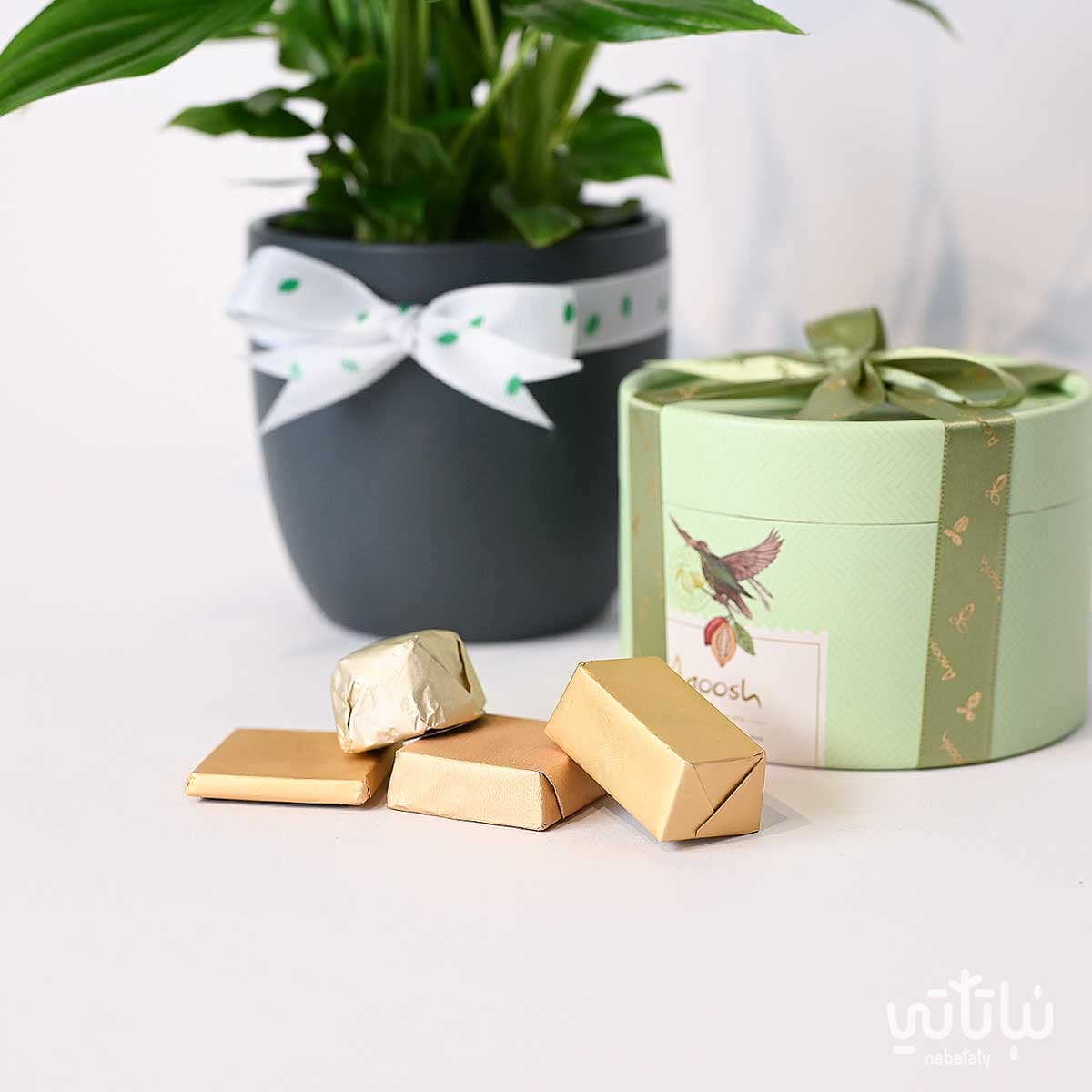 هدية مبروك التخرج نبتة الاشرعة البيضاء و تشوكلت أنوش 4