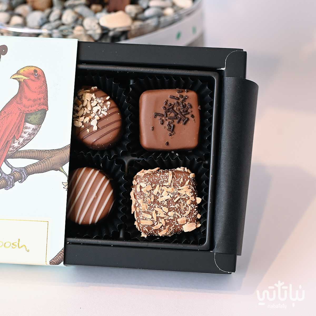 هدية مبروك التخرج نبتة البونساي وتشوكلت أنوش 4