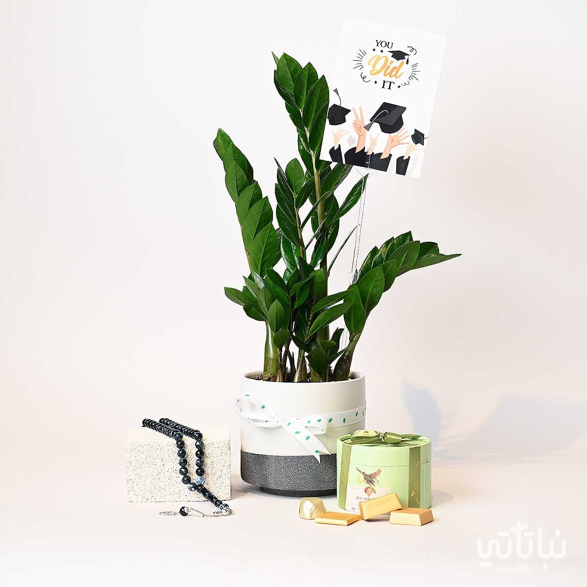 هدية مبروك التخرج نبتة الزاميا و سبحة 2