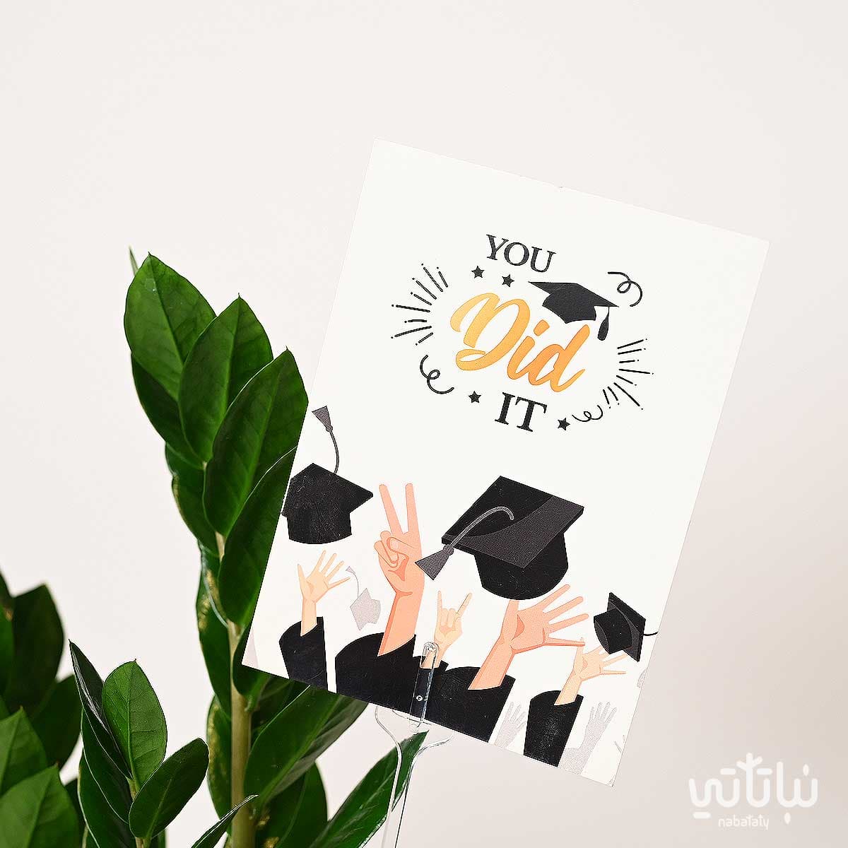 هدية مبروك التخرج نبتة الزاميا و سبحة 3