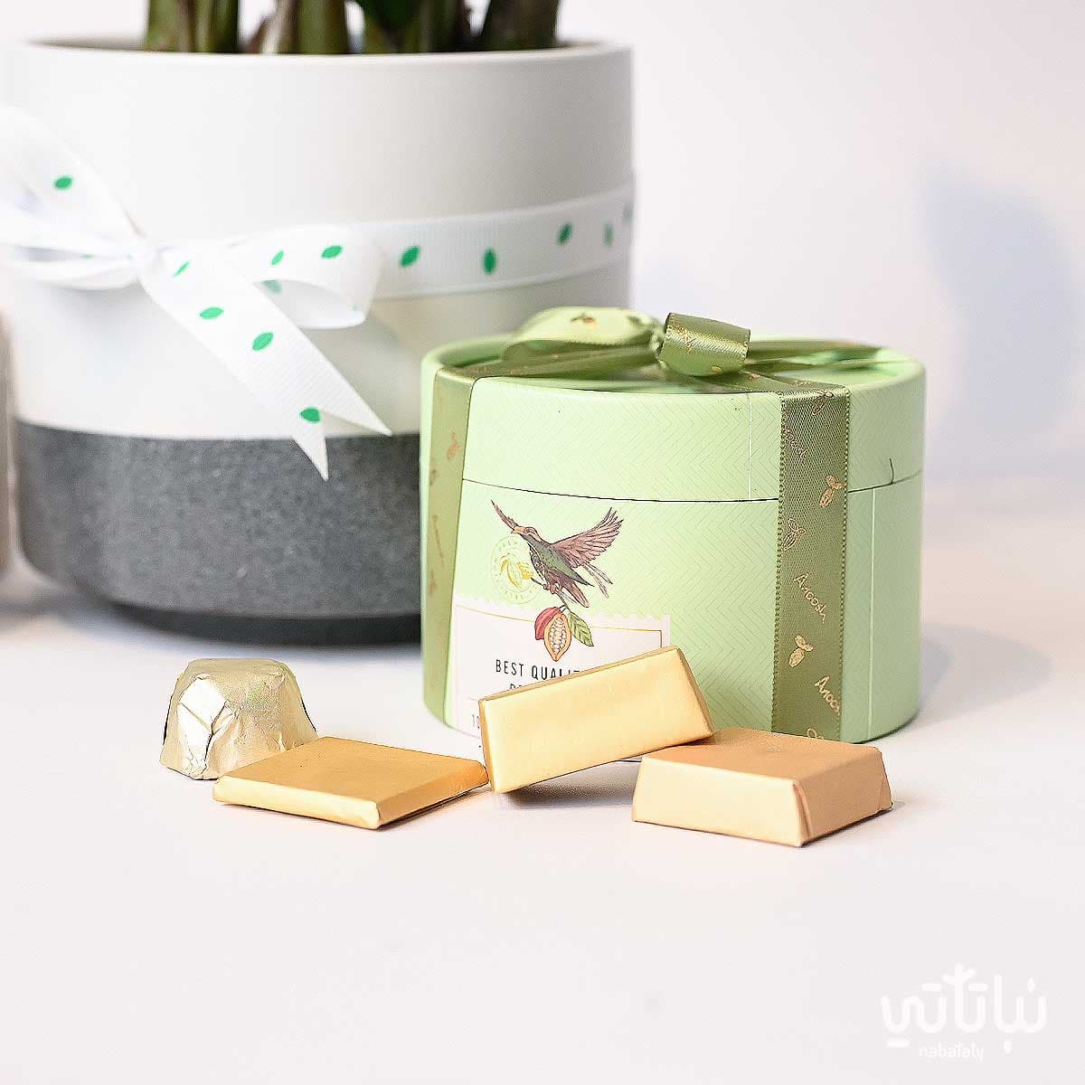 هدية مبروك التخرج نبتة الزاميا و سبحة 4