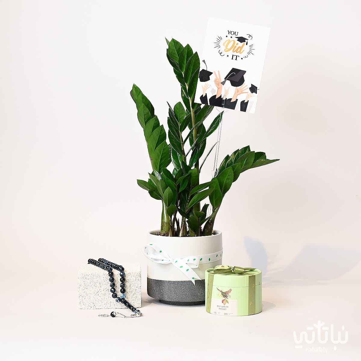 هدية مبروك التخرج نبتة الزاميا و سبحة