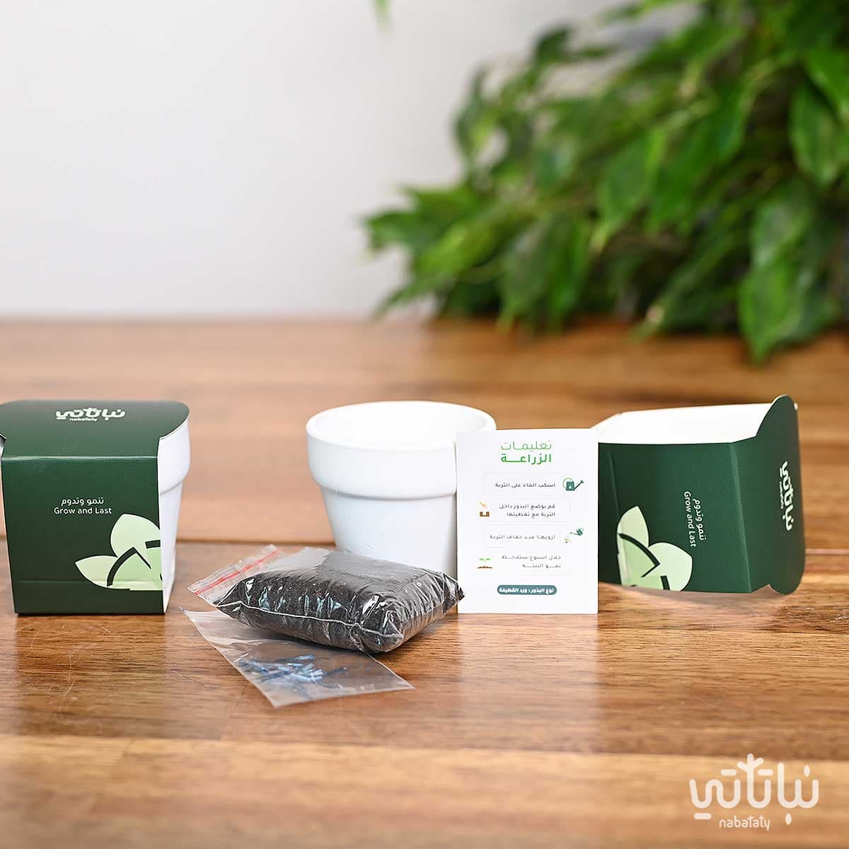 هدية من بذرة الى حياة 5