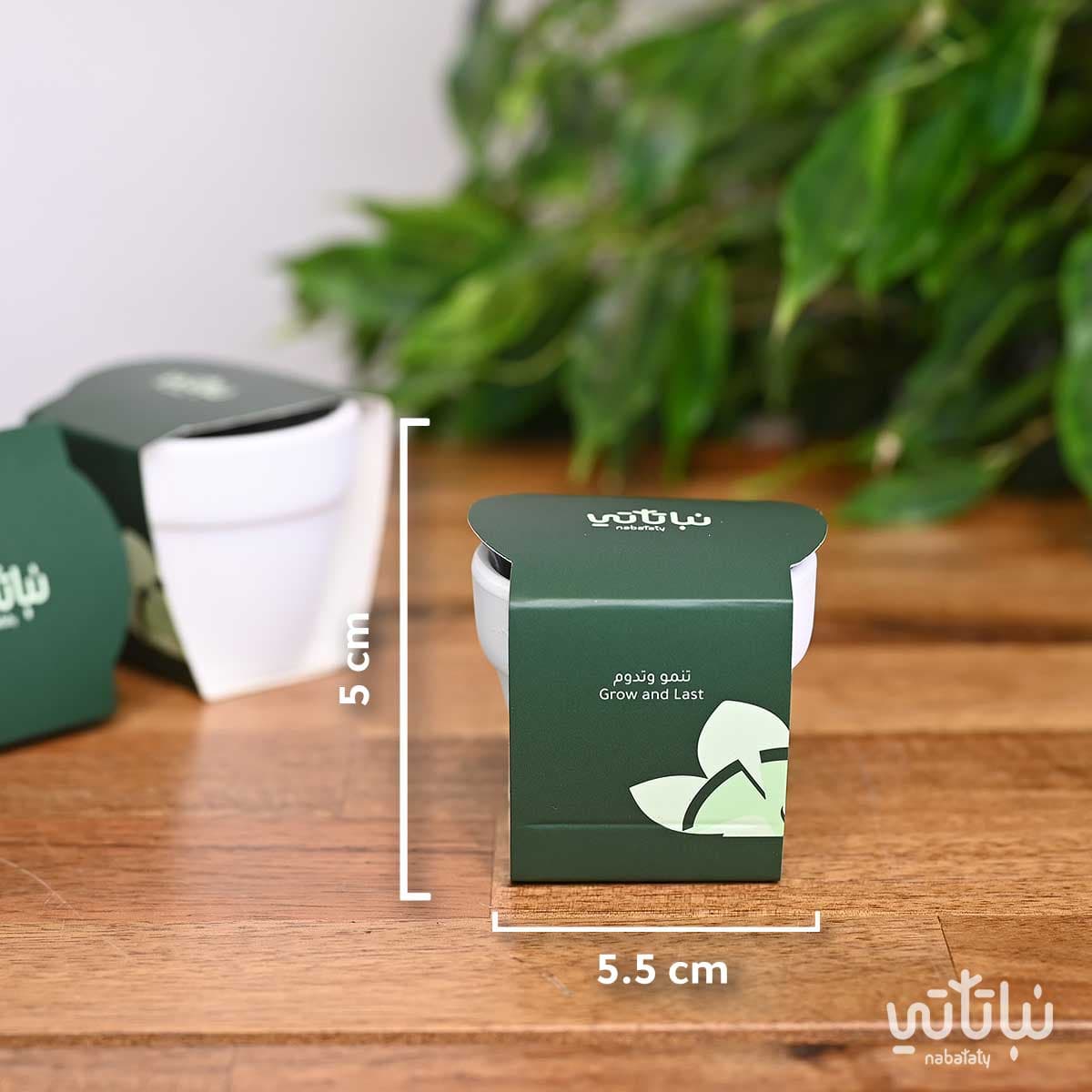 هدية من بذرة الى حياة 2