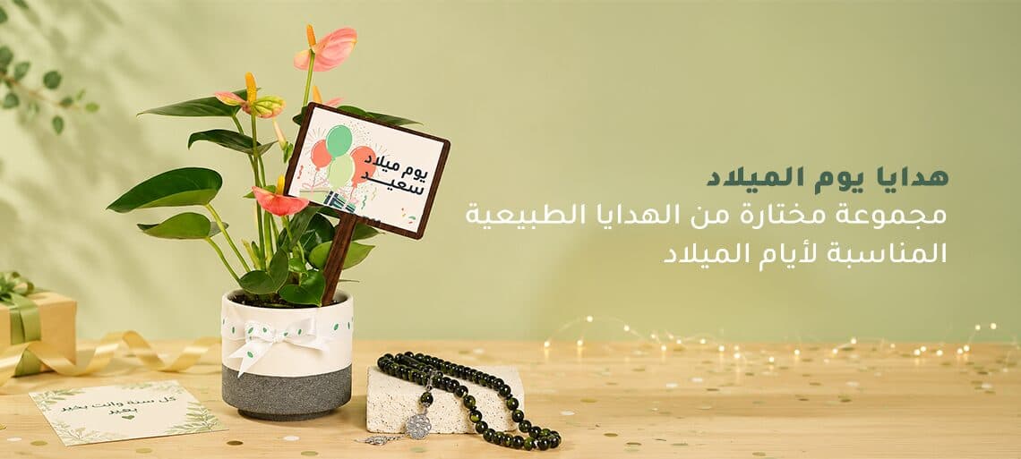 يوم الميلاد