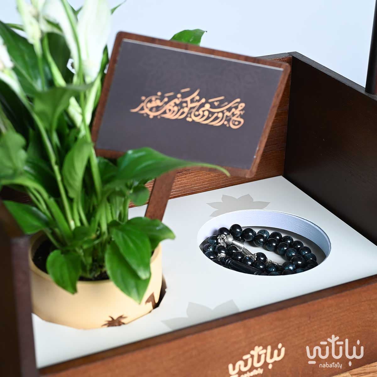 سلة عودة الحجاج نبتة الاشرعة البيضاء 5