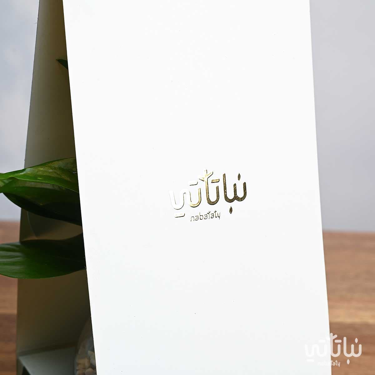 هدية هولدر نبتة البوتس اخضر فاتح 4